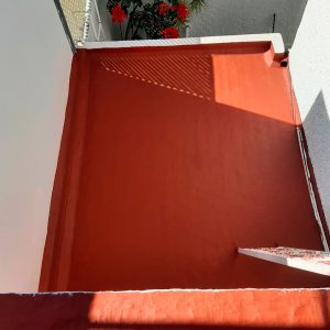 Aplicación de Acriton